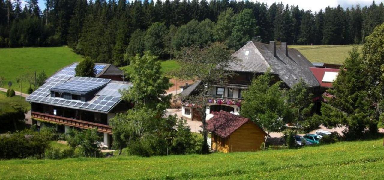 Willmannshof Apartment Furtwangen Luaran gambar