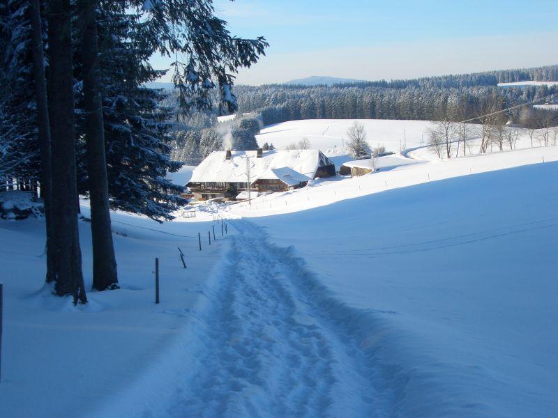 Willmannshof Apartment Furtwangen Luaran gambar